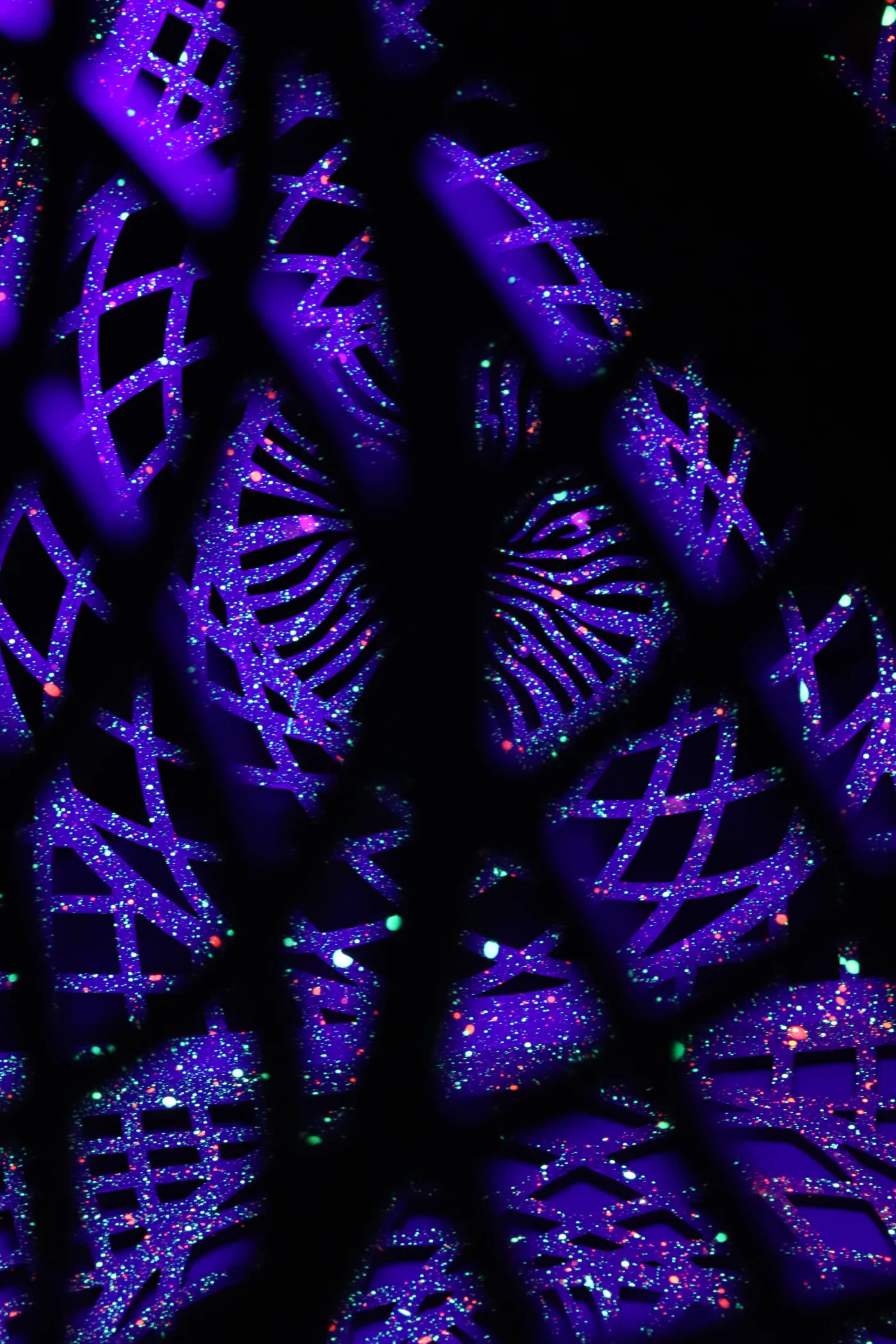 Cosmic Nuqta's Ark