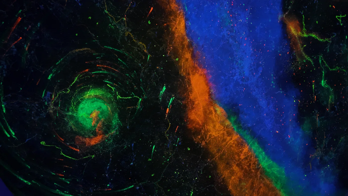 Urban Star Fields: Bridging the Cosmos and the Cityscape