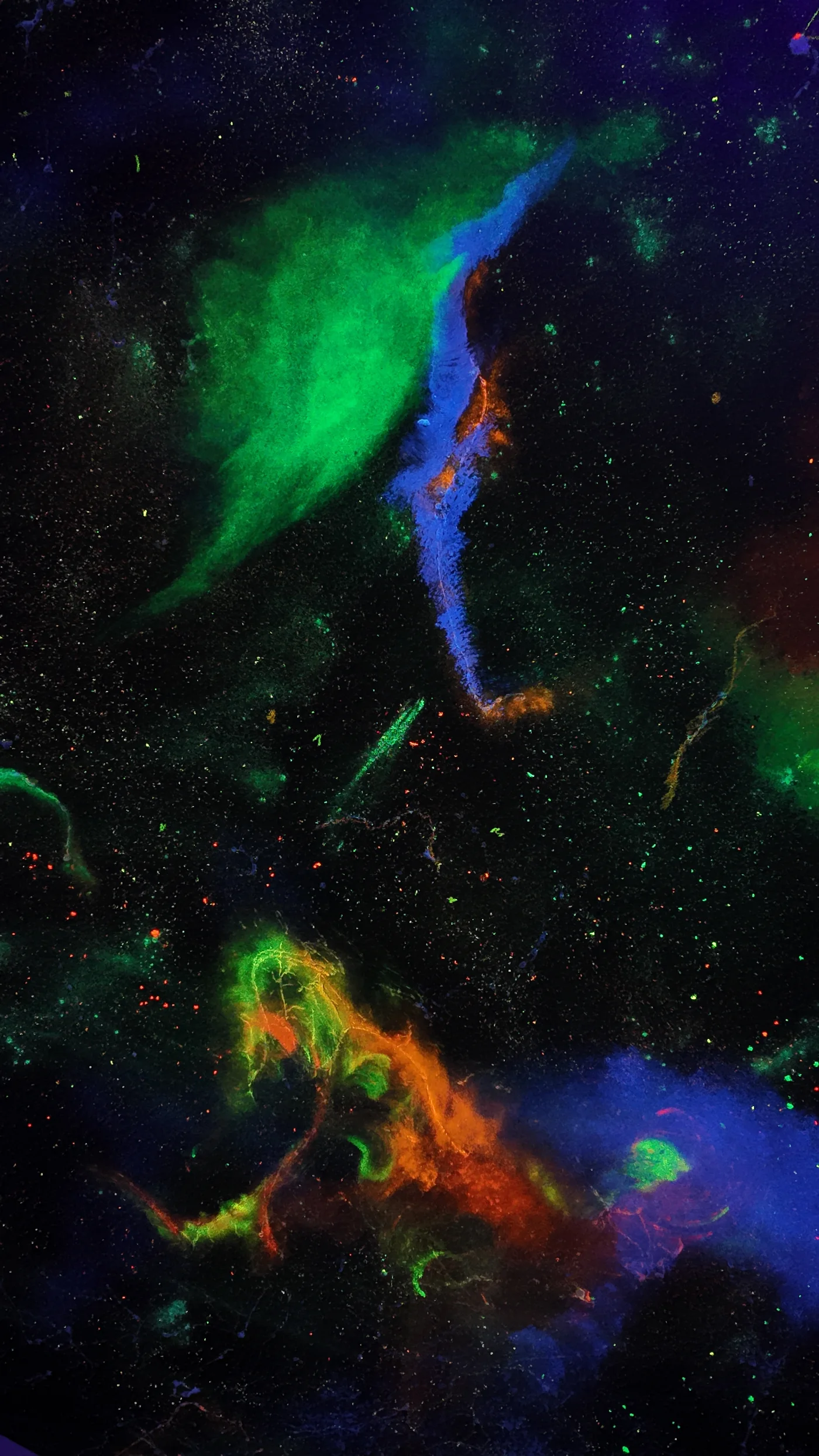 Urban Star Fields: Bridging the Cosmos and the Cityscape