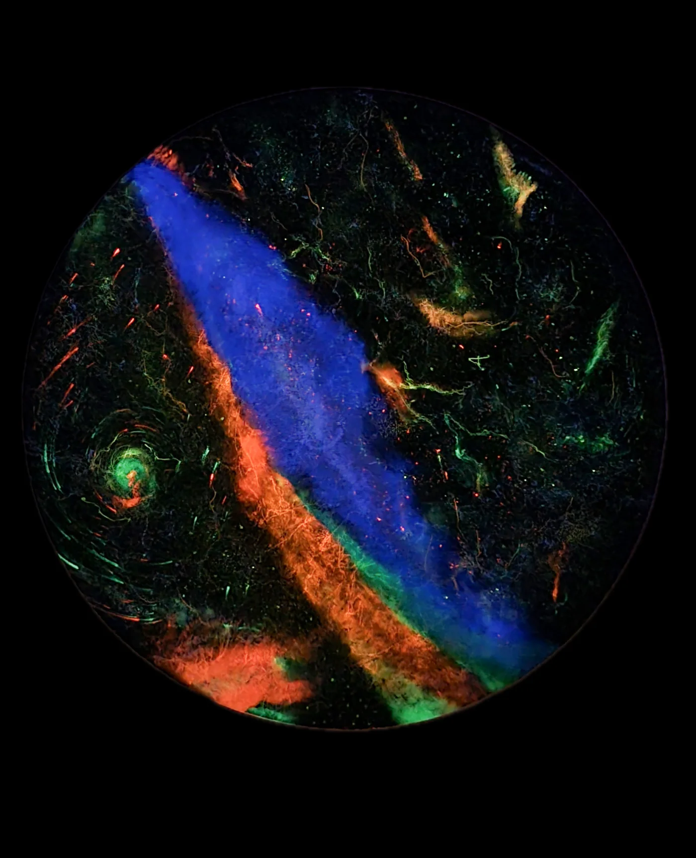 Urban Star Fields: Bridging the Cosmos and the Cityscape